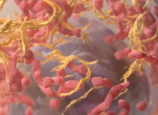 Una nanopartícula abre una vía contra el cáncer