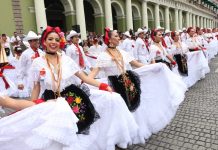 Jarochos buscan Guinnes al ritmo de La Bamba