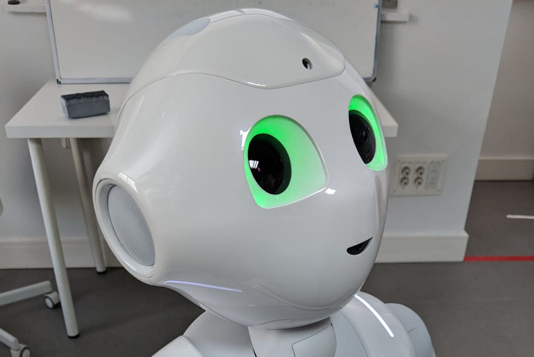 diario-dia4ra-robot-aida