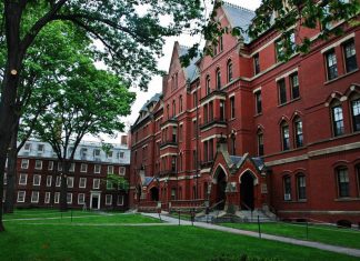 Estos son los cursos gratis que la Universidad de Harvard tiene para los extranjeros