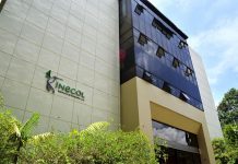 Recorta Gobierno Federal en 75% el presupuesto al Inecol