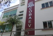 Llueven al COBAEV denuncias por acoso a estudiantes