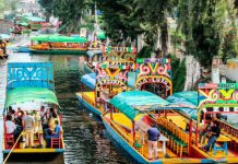 Xochimilco por la Roma