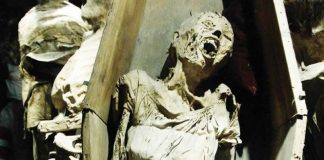 Observan escaso interés del INAH en las momias de Guanajuato