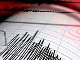 ¡Terremoto en Colombia! Sismo de 7.4 sacude el país y deja graves daños (VIDEOS)