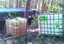 Fuerzas federales aseguran presunta refinería clandestina en Coatepec