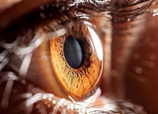 Llamando a las puertas de un nuevo tratamiento para el glaucoma