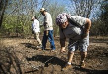 Cinco estados concentran la mayoría de fosas clandestinas en México