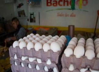 ¿Cuántos huevos al día son saludables para el cuerpo?