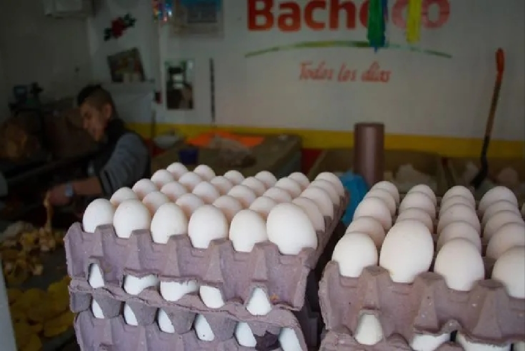 huevos despensa
