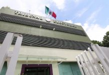 TEV consciente a diputados y les permite promocionarse previo a campañas