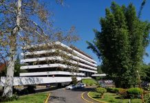 Debe Veracruz hasta la camisa: deuda es de $74 mil millones