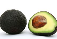 Aguacateros celebran la reanudación de exportaciones a EU