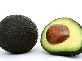Aguacateros celebran la reanudación de exportaciones a EU