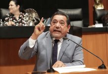 Proyecto del TEPJF da la razón al INE en el caso Salgado y plantea devolver el caso