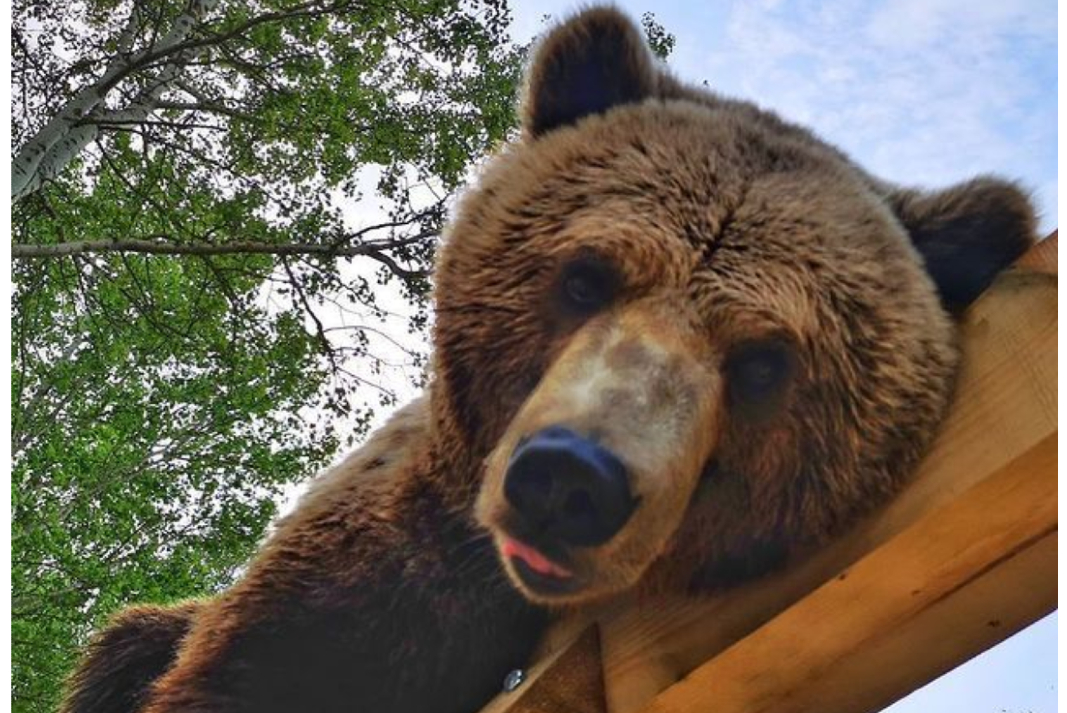 OSO