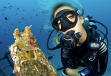 Investigan muerte de miles de peces en la Cuenca del Papaloapan