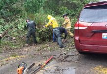 Lluvias causan daños en 14 municipios de Veracruz; Xalapa, el más afectado
