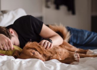Harvard liga siestas largas con más riesgo de muerte