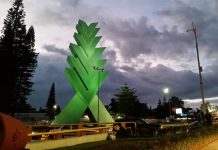 ATENAS ARTE: LUCES VERACRUZANAS CON PALABRAS CLARAS (2)