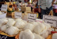 Voracidad y cinismo en Xalapa: Ayuntamiento exprime al Festival del Pambazo