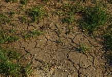 Sequía acecha a Veracruz: tres municipios bajo alerta