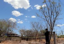Encuentran 2,400 fragmentos óseos en una fosa clandestina de México
