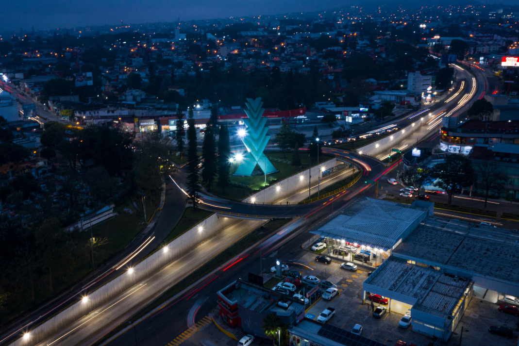 ARAUCARIA-XALAPA
