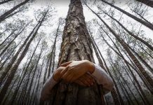 BIODIVERSIDAD EN VERACRUZ: JOSÉ SARUKHÁN PRENDE LAS ALARMAS