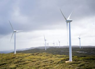 Anuncian inversión de 5,000 mdd en parques eólicos