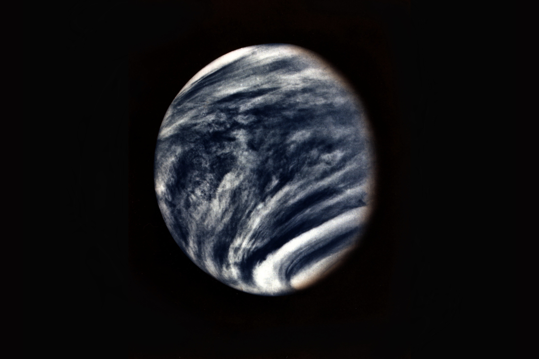VENUS