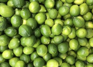 Gobierno de AMLO sospecha de ‘mano negra’ en precios ‘de locura’ del limón