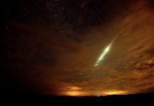¿Nos queda todavía tiempo para evitar una extinción masiva?