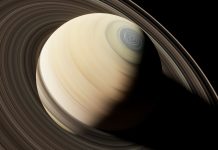 ¿Vida en Saturno? Microbio marino terrestre sobrevive a condiciones de Encélado