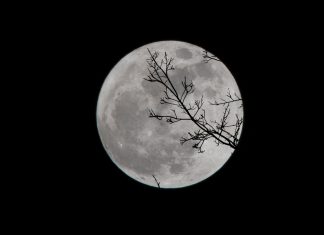 Luna de castor 2024: ¿cuándo y a qué hora se verá en México?