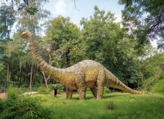 Descubren el fósil de dinosaurio con el cuello más largo conocido
