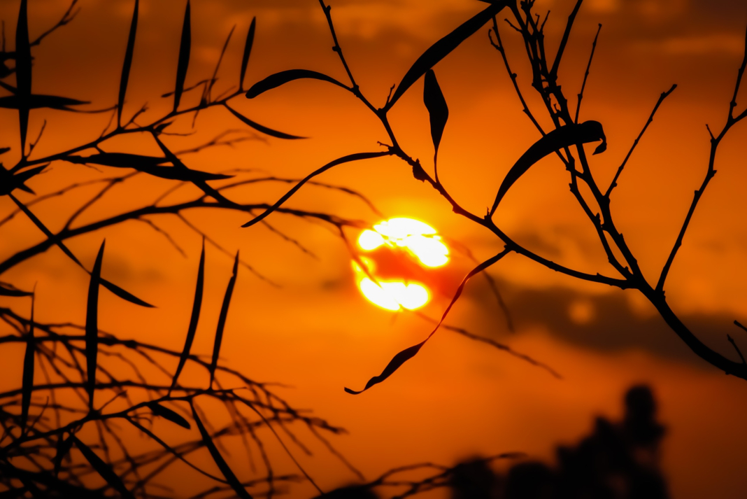 SOL-CALOR-CANICULA-VERANO