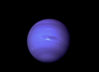 Científicos comprueban existencia de 5 planetas similares a Neptuno
