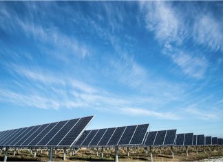 100 mil mdd, la ‘lana’ que México se ahorraría si apuesta por energías renovables: estudio de EU