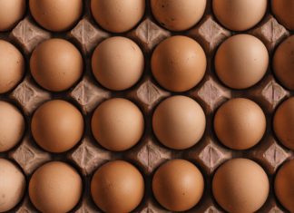 ¿Qué tan sano es comer huevo todos los días?