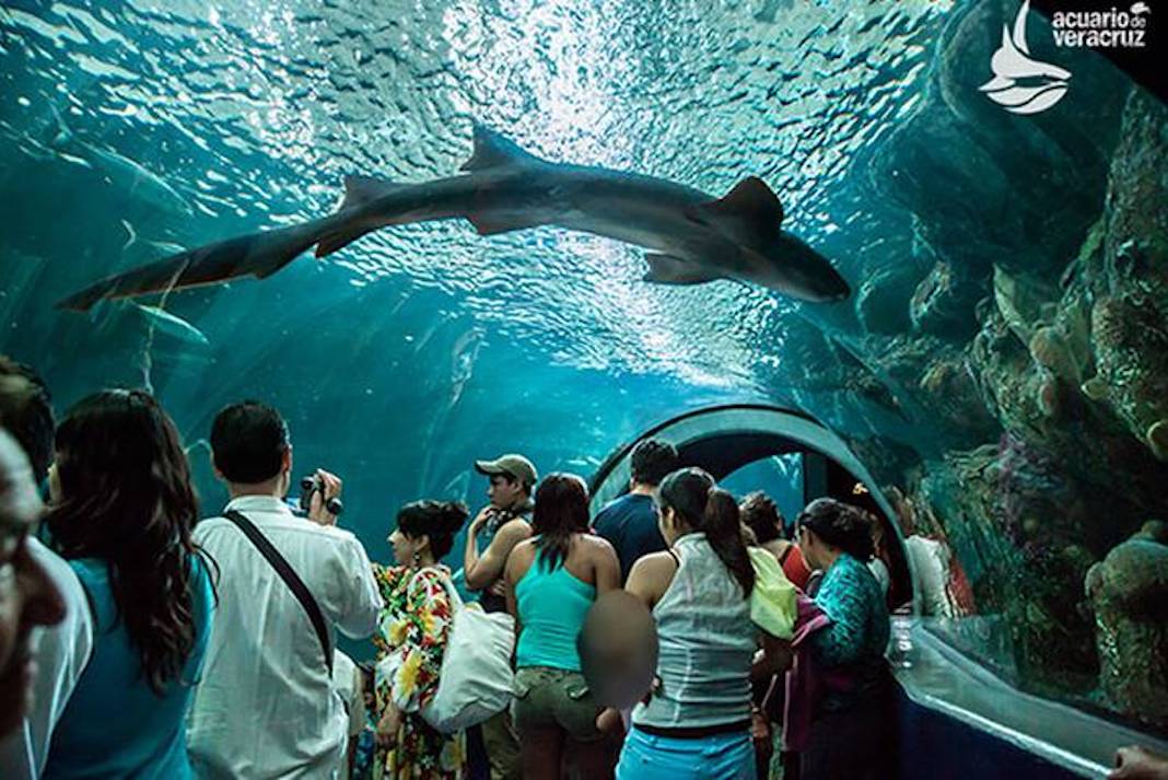 Acuario de Veracruz