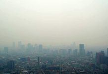 Contaminación por ozono alcanza al 40 % de la población global