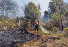 Van 259 incendios este año en Veracruz
