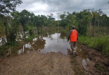 Siguen incomunicadas 57 comunidades en Veracruz: SICT