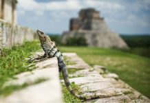 Los XI Premios Platino se celebrarán en la Riviera Maya en abril de 2024