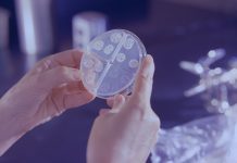 Científicos descubren superbacteria milenaria en el hielo que resiste a 10 antibióticos