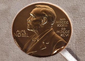Dan Nobel de Medicina a Ambros y Ruvkun por descubrir microARN