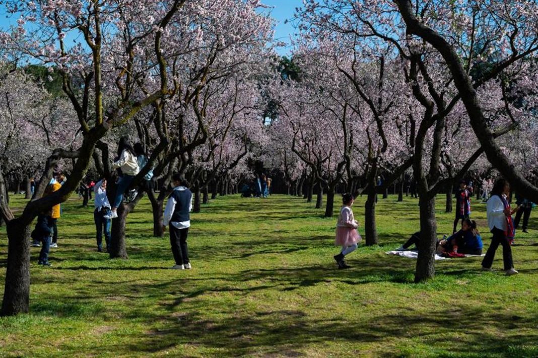 Naturaleza-jovenes-ninos-beneficios
