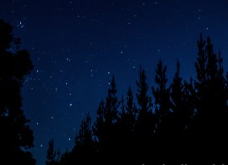 Cuándo y cómo ver la primera lluvia de meteoros del 2023