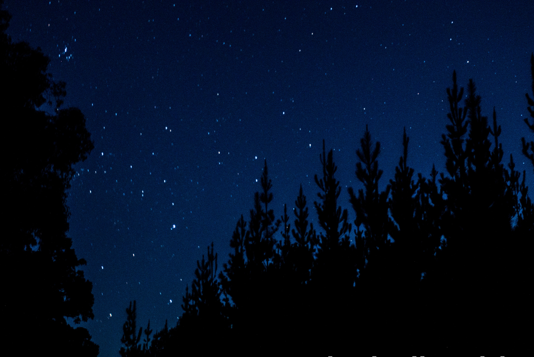 cielo-nocturno
